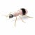 Ant Sculpture by Mambo Unlimited Ideas For Sale - Image 15 of 15