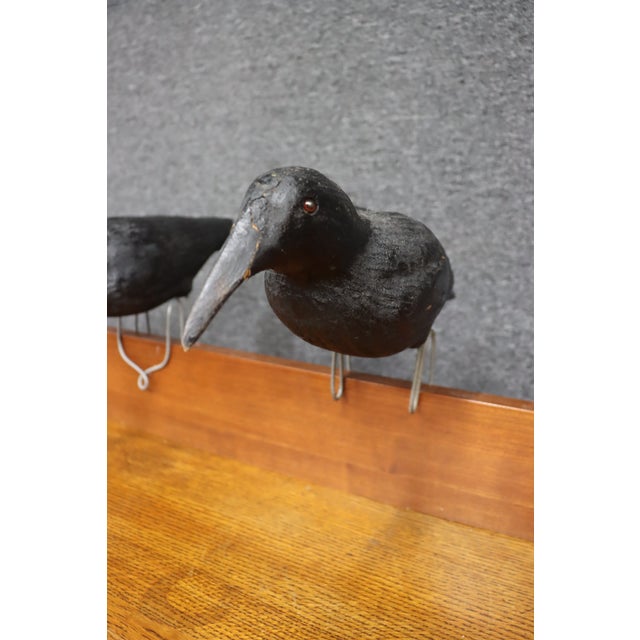 Folk Art Crow Decoys – Set of Three For Sale - Image 9 of 18