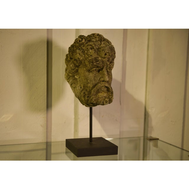 Early 19th Century Neo-Renaissance Stone Head of a Man, 1800s For Sale - Image 4 of 12