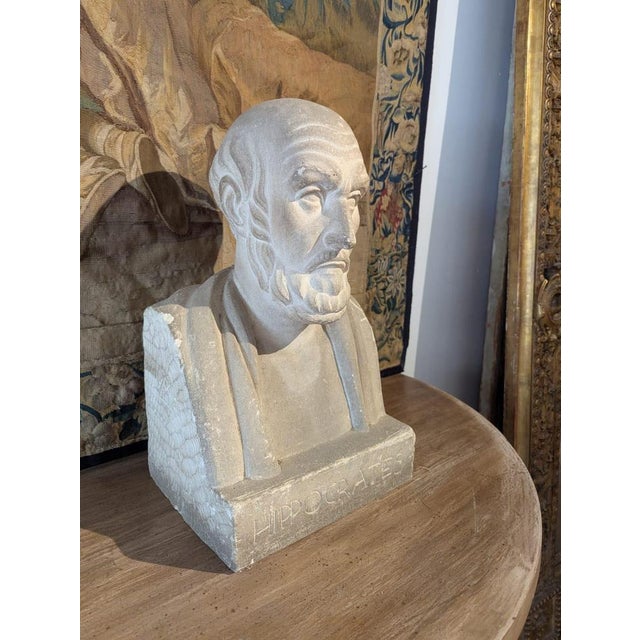 French School Artist, Bust of Hippocrates, 19th Century, Stone For Sale - Image 10 of 13