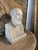 French School Artist, Bust of Hippocrates, 19th Century, Stone For Sale - Image 10 of 13