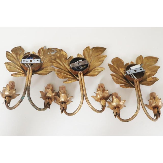 Hollywood Regency Gilt Acanthus Leaf Wall Lights, 1950s, Set of 3 For Sale - Image 4 of 17