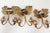 Hollywood Regency Gilt Acanthus Leaf Wall Lights, 1950s, Set of 3 For Sale - Image 4 of 17