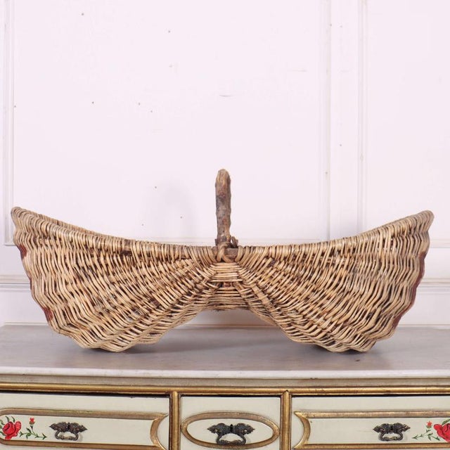 Nice and clean French Burgundy grape picking baskets. Made to the shape to fit on a donkey. 1920 Dimensions:W: 107cm...