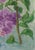 1970s Lilac Still Life, Oil Painting, Ukrainian Art 50-35 For Sale - Image 6 of 6