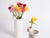 Not Yet Made - Made To Order Vase Composition by Gilli Kuchik & Ran Amitai For Sale - Image 5 of 9