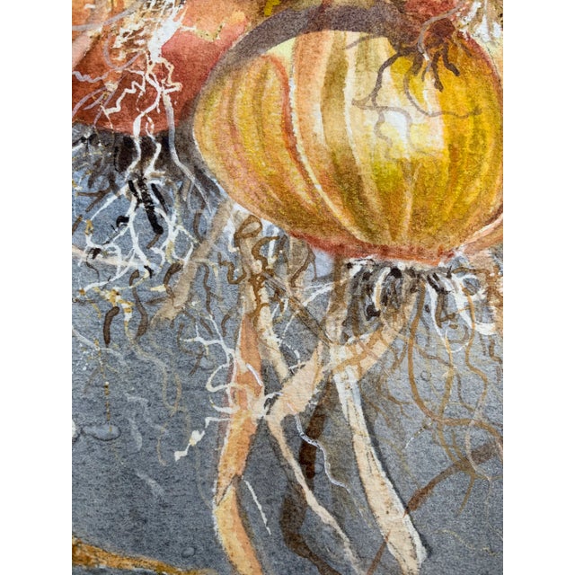 Realism Realistic Still Life Watercolor Painting of Onions by Gillean Whitaker, Framed For Sale - Image 3 of 7