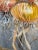 Realism Realistic Still Life Watercolor Painting of Onions by Gillean Whitaker, Framed For Sale - Image 3 of 7