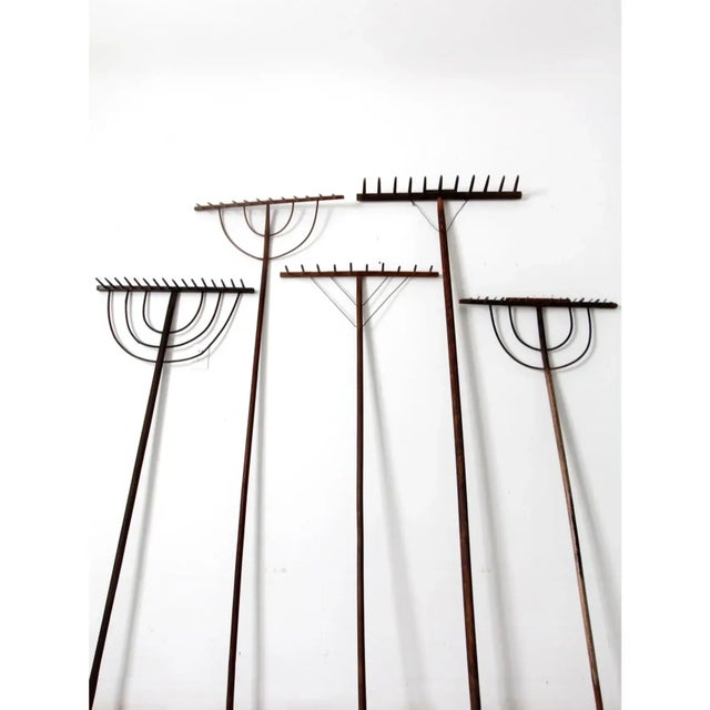 Antique Primitive Hay Rakes Collection - 5 Piece For Sale - Image 4 of 14