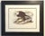 John James Audubon Late 20th Century Framed Audubon Bird Prints - A Pair For Sale - Image 4 of 15