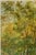 Not Yet Made - Made To Order Vintage Autumn Forest Art Print – Green & Gold Woodland by Libin, 24" X 32" For Sale - Image 5 of 9