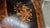 Antique Napoleon III Three Tier Stand With Marquetry For Sale - Image 4 of 12