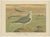 Ornithology Illustrations of Arctic & European Birds, 1890, Prints, Set of 6 For Sale - Image 3 of 10