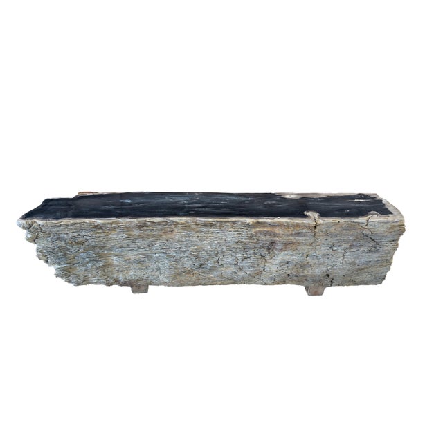 Early 21st Century Petrified Wood Bench by Xyleia Petrified Wood For Sale - Image 5 of 5