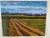 Contemporary Landscape Oil Painting Titled "Fields at Upper Shirley" For Sale - Image 4 of 4
