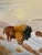 Textile Vintage Bison Landscape Painting – Oil on Canvas, Signed “Luci,” Framed For Sale - Image 7 of 10