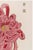 Japanese Pink Mum by Hasegawa, Vintage Japanese Botanical Art Print, 24" X 36" For Sale - Image 3 of 9
