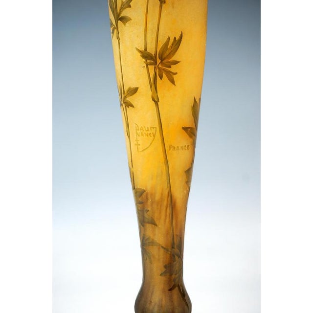Large Art Nouveau Cameo Single Vase Ancolie by Daum Nancy, France, 1890s For Sale - Image 5 of 7