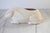Farmhouse Vintage Ceramic Bunny Rabbit Planter For Sale - Image 3 of 9