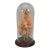 Late 20th Century Floral Butterfly Diorama Taxidermy Display Apothecary Cloche Dome 12" For Sale