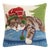 Holiday Napping Cat Hook Pillow 16" x 16" For Sale