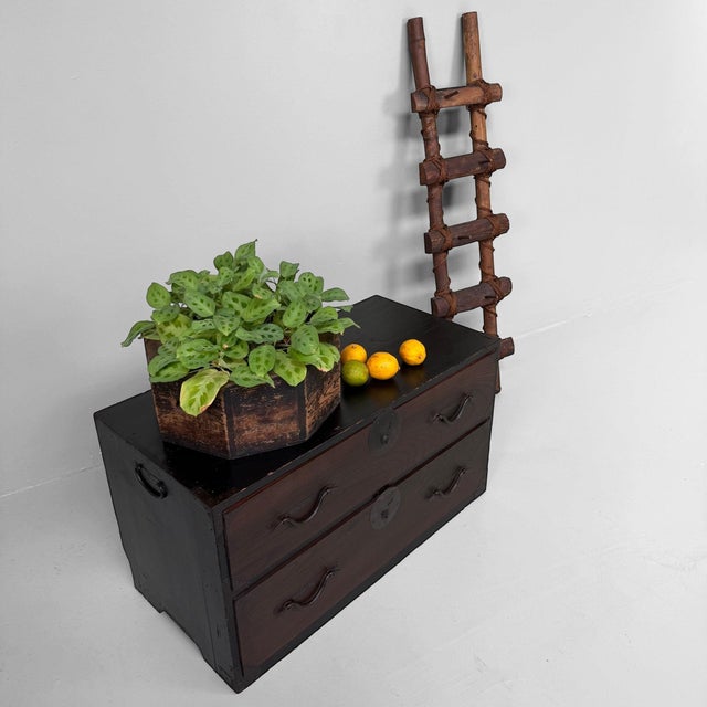 Low Japanese Tansu Chest with Two Drawers, 1890s For Sale - Image 11 of 17