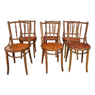 Vintage Bentwood Thonet Style Cafe Chairs - Set of 6 For Sale