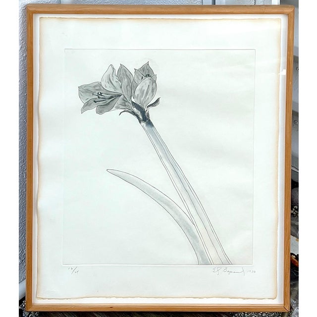 1970s Ed Baynard, Zen Minimalist Flowers Aquatint Etching American Modernist Ed Baynard Pop Art For Sale - Image 5 of 5