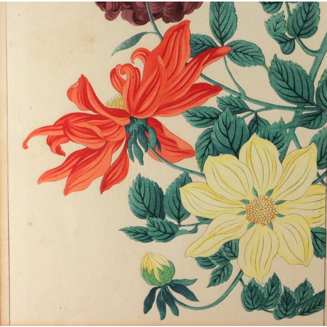 Mid 20th Century Japanese Woodblock Botanical Print of Three Distinct Varieties of Dahlia by Tanigami Kōnon For Sale - Image 5 of 10