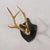 Rustic European Antique Black Forest Sika Deer Trophy on Black Plaque - Salem Germany 1878 For Sale - Image 3 of 7