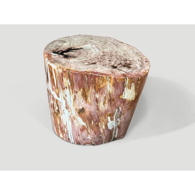 Brown Andrianna Shamaris Coral Toned High Quality Petrified Wood Side Table For Sale - Image 8 of 18