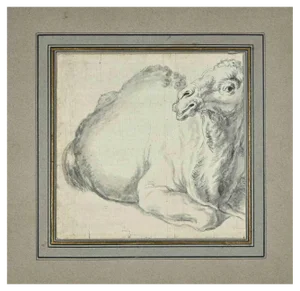 Follower of Stefano Della Bella, Camel, Pencil Drawing, 18th Century