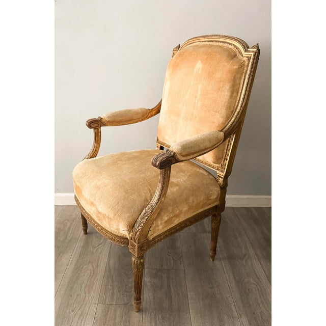 Gorgeous, 1920s Louis XVI-style carved gilt-wood chair with velvet upholstery. This wonderfully carved frame is solid and...
