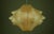 Mid-Century Modern Mid-Century Modern Cocoon Pendant by Friedel Wauer for Goldkant Leuchten, 1960s For Sale - Image 3 of 18