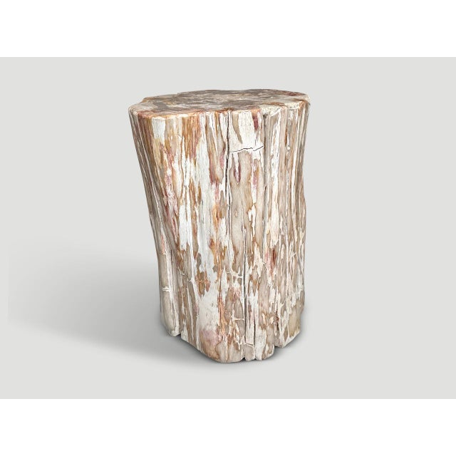 Andrianna Shamaris Coral Toned Ancient Petrified Wood Side Table For Sale - Image 4 of 5