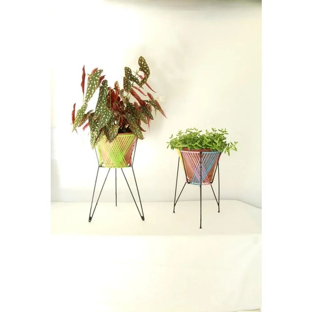 Beige Mid-Century Scooby-Doos Plant Stands, Italy, 1960s, Set of 2 For Sale - Image 8 of 11