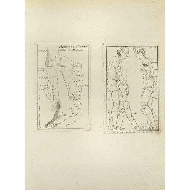 Venus is an etching realized by Jean François Poletnich in 18th Century. Good conditions. The artwork is depicted through...