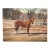 Mid Century Oil Painting of a Chestnut Horse in a Idyllic Winter Landscape For Sale