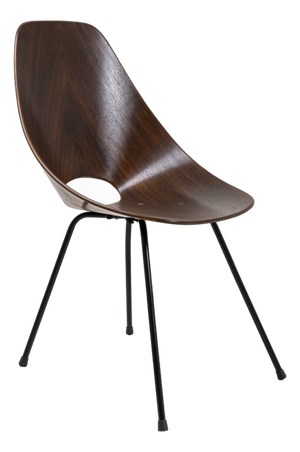 Mede Model Chair, Vittorio Nobili for Fratelli Tagliabue by Vittorio Nobili, 1950s