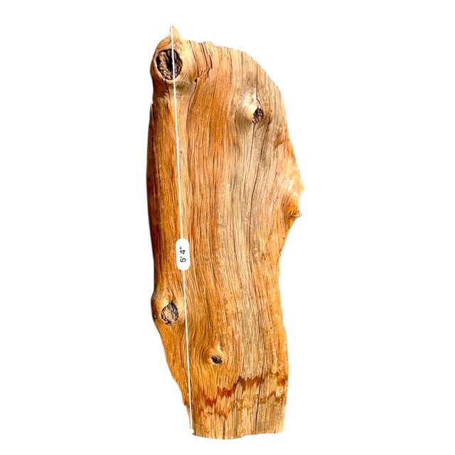 Contemporary Vintage California Juniper Live Edge Slab – Organic Modern Wall Art or Display Shelf For Sale - Image 3 of 9