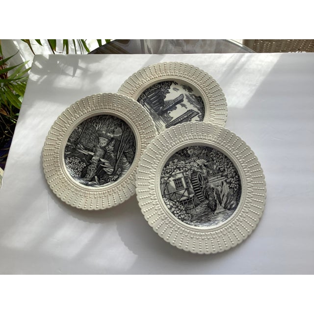 Mid 20th Century Set of 3 Mid 20th Century English Fine China Plates For Sale - Image 5 of 12