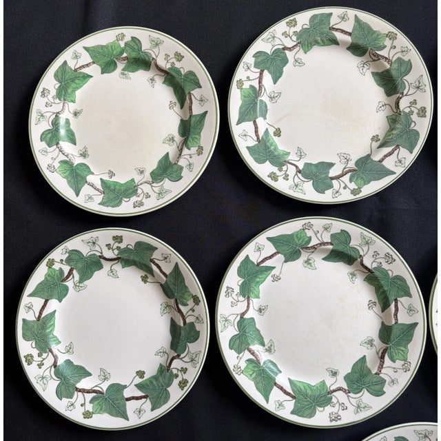 1940s 1940s Wedgewood Napoleon Ivy Plates - Set of 9 For Sale - Image 5 of 8