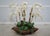 Age: Approx: 10 Years Old Details: High Quality Construction Extremely High Quality Floral Arrangement Stunning Woven...