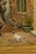 An English oil on canvas genre painting from the 19th century by Charles Hunt Jr (1829 -1900), titled "The Intruder"....