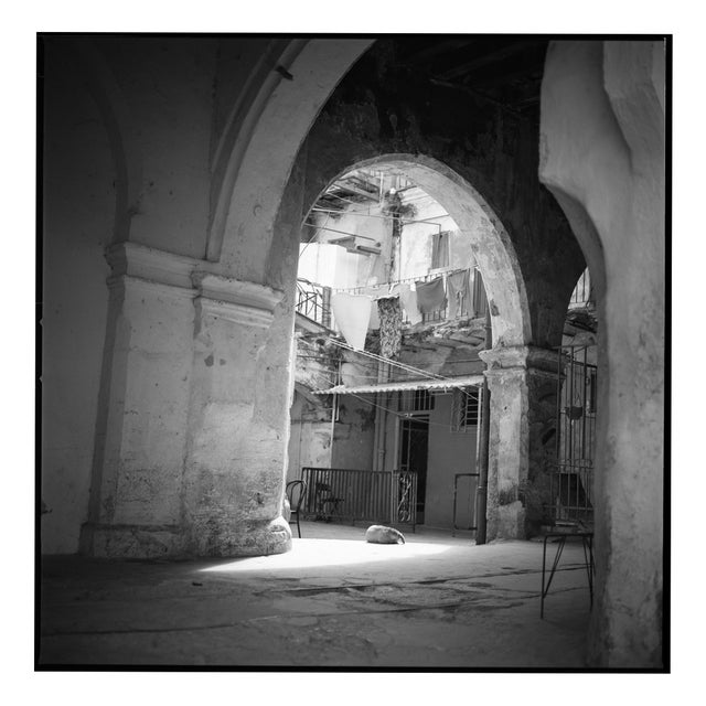 Paul Cooklin, Sleeping Dog, Courtyard, Edition of 50 For Sale