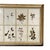 18th Century Swedish Framed Botanical Collection For Sale - Image 4 of 7