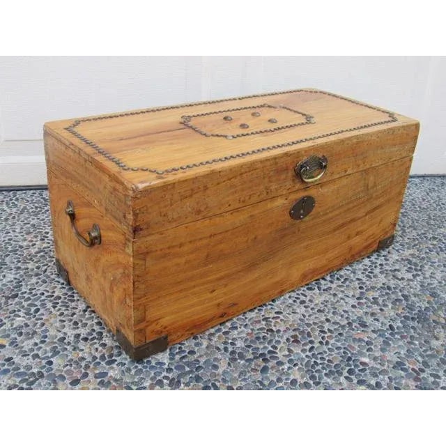 Late 19th Century Small Scale Camphor Wood Trunk For Sale - Image 11 of 12