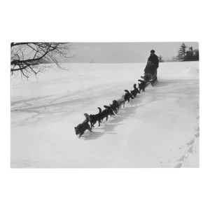 1934 Dog Sled Team Photograph