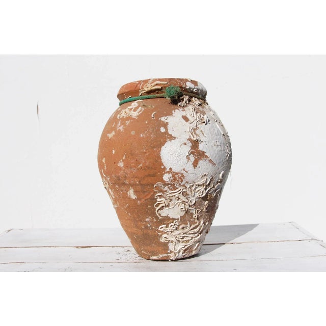 19th Century 19th Century Antique Terracotta Octopus Trap Undersea Pot For Sale - Image 5 of 13