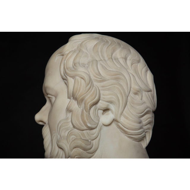 19th Century Antique Italian Grand Tour Marble Bust of Socrates Ca. 1860-80 For Sale - Image 13 of 17